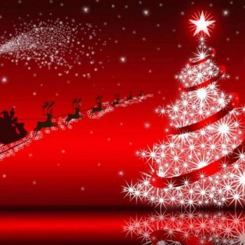 + de détails période estivale